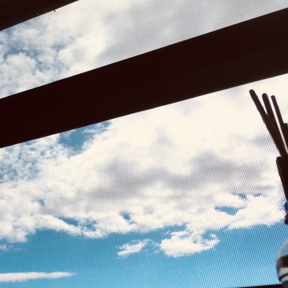 Meet your Posher, Maddie